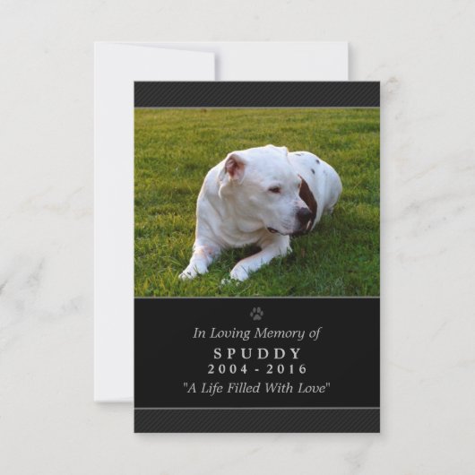 Pet Memorial Kaart 3.5" x5" zwarte moderne foto (Voorkant)