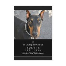 Pet Memorial Kaart 3.5 x 5 Black Prayer for Pets