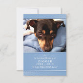 Pet Memorial Kaart 3.5 x 5 Blue - Contentgedicht (Voorkant)