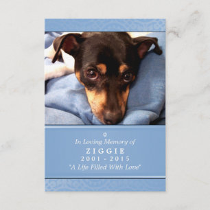 Pet Memorial Kaart 3.5 x 5 Blue God zag je gedicht