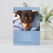 Pet Memorial Kaart 3.5 x 5 Blue Wep Poem niet (Staand voorkant)