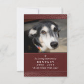 Pet Memorial Kaart 3,5 x 5-inch rood - Wraad geen  (Voorkant)