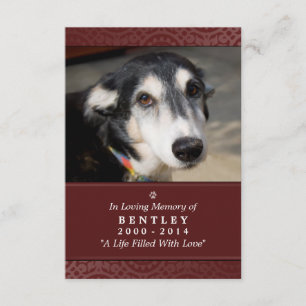 Pet Memorial Kaart 3,5 x 5-inch rood - Wraad geen