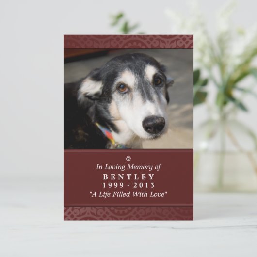 Pet Memorial Kaart 3.5 x 5 Maroon Don't Grieve Poe (Staand voorkant)