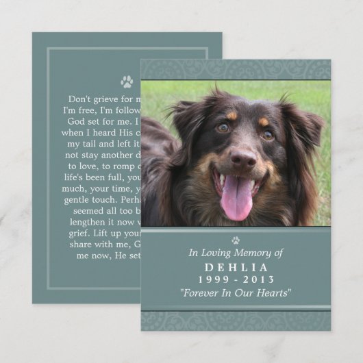 Pet Memorial Kaart 3.5x5 Blauwgroen - Don't Grieve (Voorkant / Achterkant)