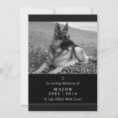 Pet Memorial Kaart 5"x7" Black Modern - Mannelijke (Voorkant)