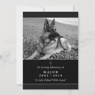 Pet Memorial Kaart 5"x7" Black Modern - Mannelijke