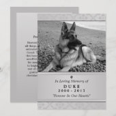 Pet Memorial Kaart 5"x7" Gray Modern Foto (Voorkant / Achterkant)