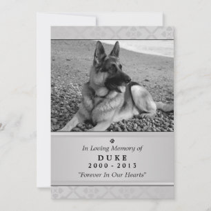 Pet Memorial Kaart 5"x7" Gray Modern Foto