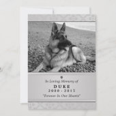 Pet Memorial Kaart 5"x7" Gray Modern - Mannelijke  (Voorkant)