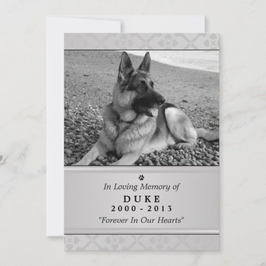 Pet Memorial Kaart 5"x7" Gray Modern - Mannelijke  (Voorkant)