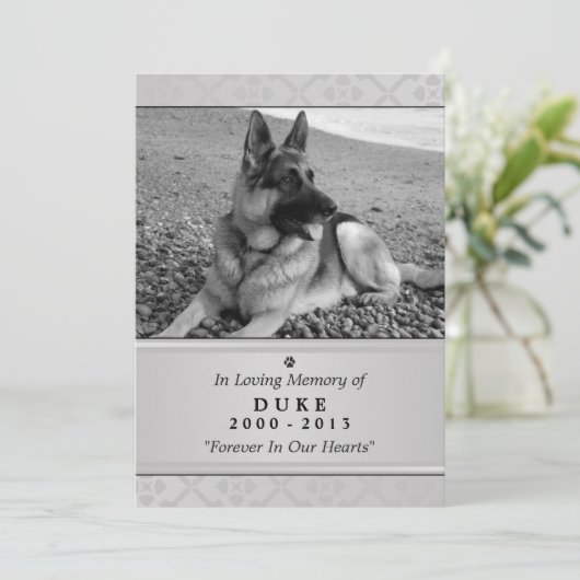Pet Memorial Kaart 5"x7" Gray Modern - Mannelijke  (Staand voorkant)