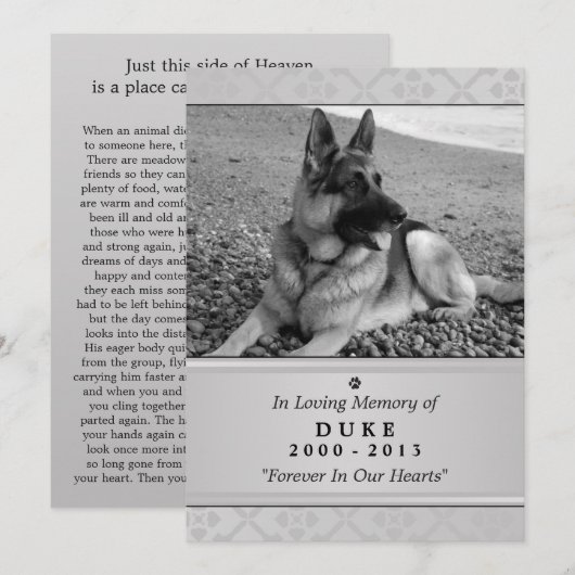 Pet Memorial Kaart 5"x7" Gray Modern - Mannelijke  (Voorkant / Achterkant)