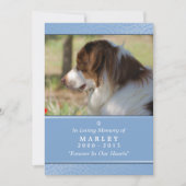 Pet Memorial Kaart 5"x7" Light Blue Pet's Prayer (Voorkant)