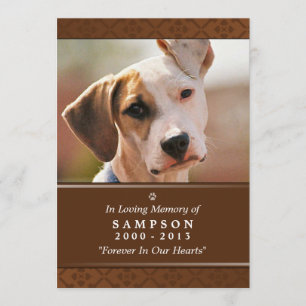 Pet Memorial Kaart 5"x7" Middelgrote bruine foto