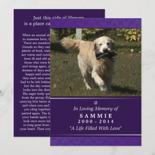 Pet Memorial Kaart 5"x7" Paarse Foto - Mannelijke  (Voorkant / Achterkant)