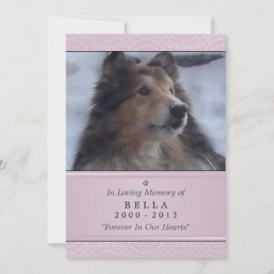 Pet Memorial Kaart 5"x7" Pink Modern - Vrouw Pet