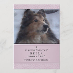 Pet Memorial Kaart 5"x7" Pink Modern - Vrouw Pet