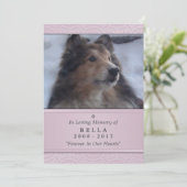 Pet Memorial Kaart 5"x7" Pink Modern - Vrouw Pet (Staand voorkant)