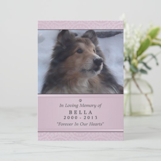 Pet Memorial Kaart 5"x7" Pink Modern - Vrouw Pet (Staand voorkant)