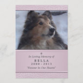 Pet Memorial Kaart 5"x7" Pink Modern - Vrouw Pet (Voorkant)