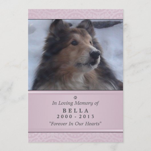 Pet Memorial Kaart 5"x7" Pink Modern - Vrouw Pet (Voorkant)