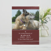 Pet Memorial Kaart 5"x7" Rainbow Bridge (mannelijk (Staand voorkant)