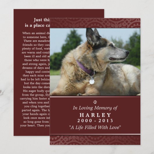 Pet Memorial Kaart 5"x7" Rainbow Bridge (mannelijk (Voorkant / Achterkant)