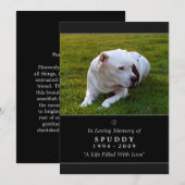 Pet Memorial Kaart 5 x 7 Black Photo Pet's Prayer (Voorkant / Achterkant)