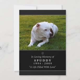 Pet Memorial Kaart 5 x 7 Black Photo Pet's Prayer