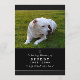 Pet Memorial Kaart 5 x 7 Black Photo Pet's Prayer
