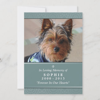Pet Memorial Kaart 5x7 Blauwgroen God zag je gedic