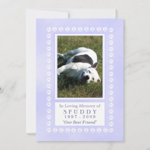 Pet Memorial Kaart 5x7 - Heavenly Blue Pawprints