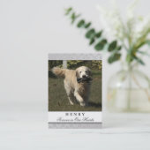 Pet Memorial Kaart Light Grey Contented Poem Visitekaartje (Staand voorkant)