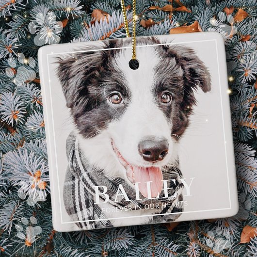 Pet Memorial Keepslag voor altijd in ons hart Foto Keramisch Ornament