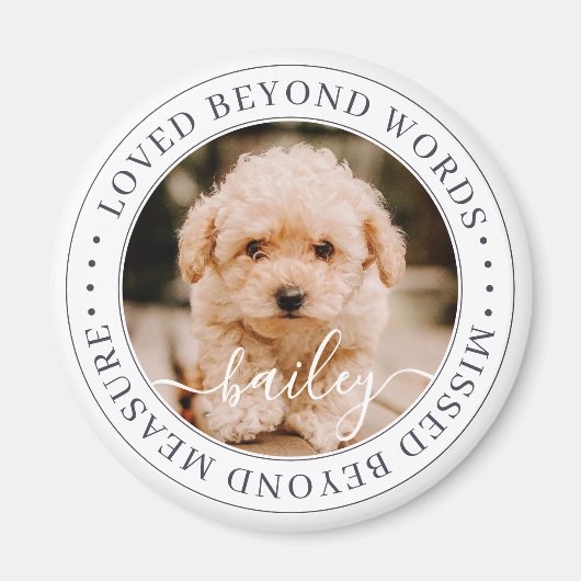 Pet Memorial Loved Beyond Wordant Elegant Chic Pho Magneet (Voorkant)