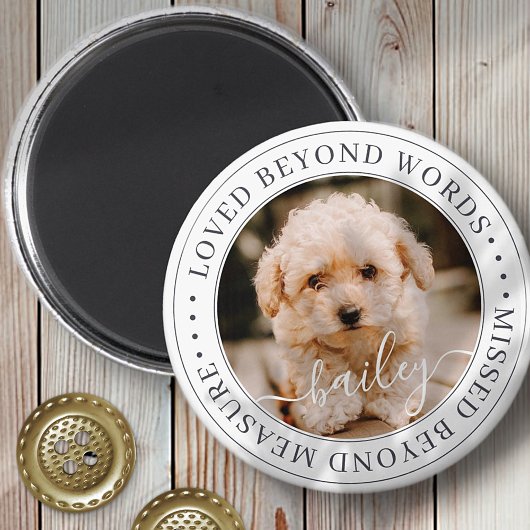 Pet Memorial Loved Beyond Wordant Elegant Chic Pho Magneet