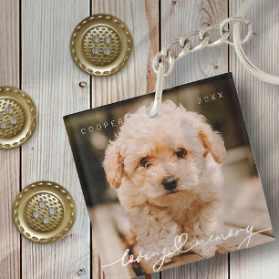 Pet Memorial Loving Memory Simple Modern Photo Sleutelhanger