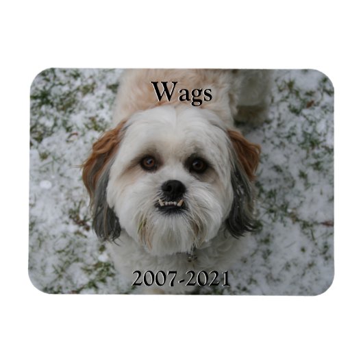 Pet Memorial Magnet Magneet (Horizontaal)
