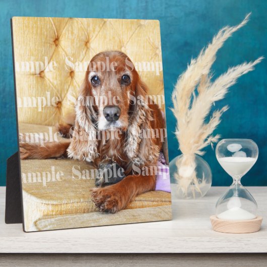 Pet memorial memory / PERSONALIZE foto Fotoplaat (Zijkant)