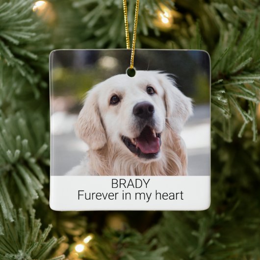 Pet Memorial met naam en foto Keramisch Ornament (Boom)