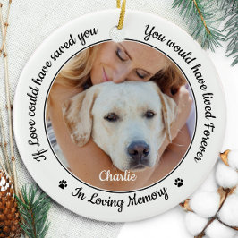 Pet Memorial Modern Dog 2 Fotosympathie Keramisch Ornament