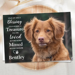 Pet Memorial Modern Personalize Dog Fotosympathie Bedankkaart
