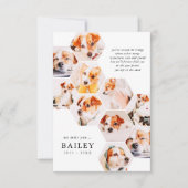 Pet Memorial Modern Simple 10 Photo Collage Bedankkaart (Voorkant)