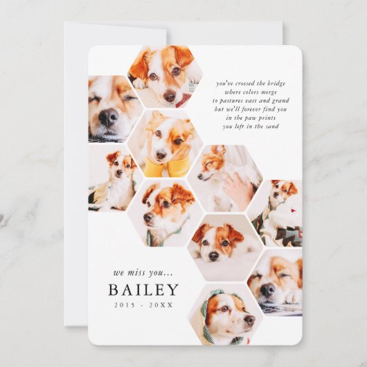 Pet Memorial Modern Simple 10 Photo Collage Kaart (Voorkant)