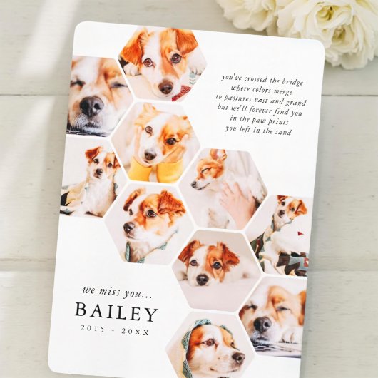 Pet Memorial Modern Simple 10 Photo Collage Kaart