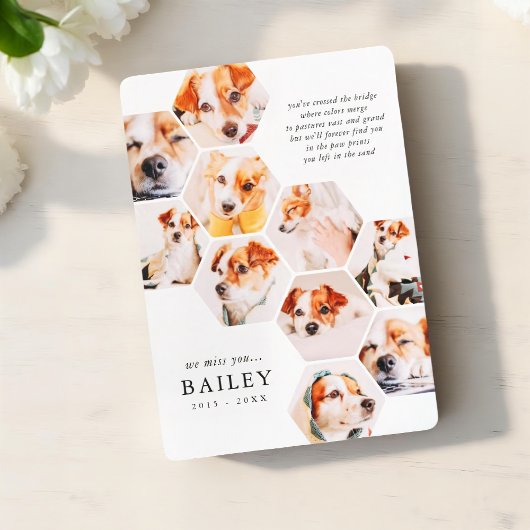 Pet Memorial Modern Simple 10 Photo Collage Kaart