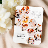 Pet Memorial Modern Simple 10 Photo Collage Kaart Magneet