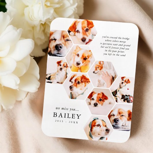 Pet Memorial Modern Simple 10 Photo Collage Kaart Magneet