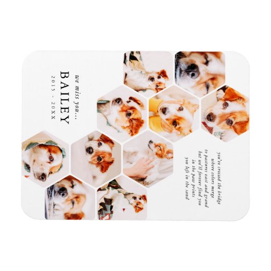 Pet Memorial Modern Simple 10 Photo Collage Kaart Magneet (Horizontaal)